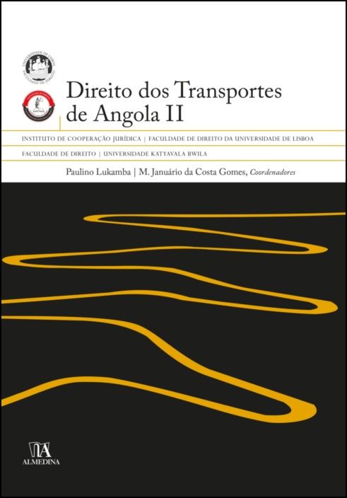 PESSOA DIREITO E RESPONSABILIDADE - 1ª ED - 2020